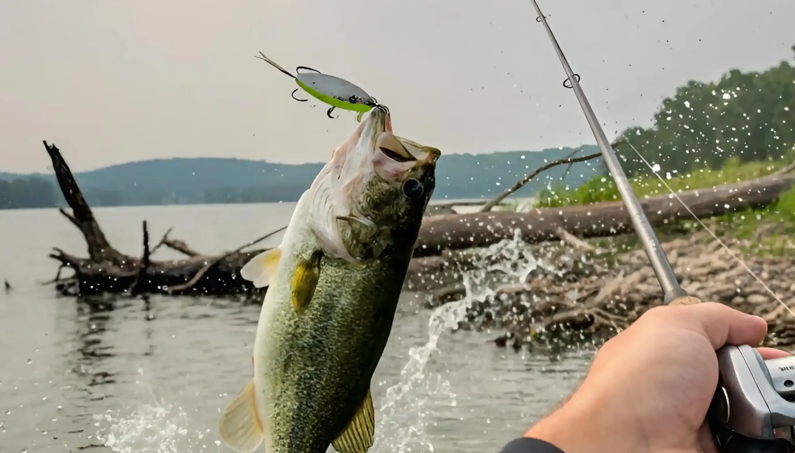 Guided bass fishing trip