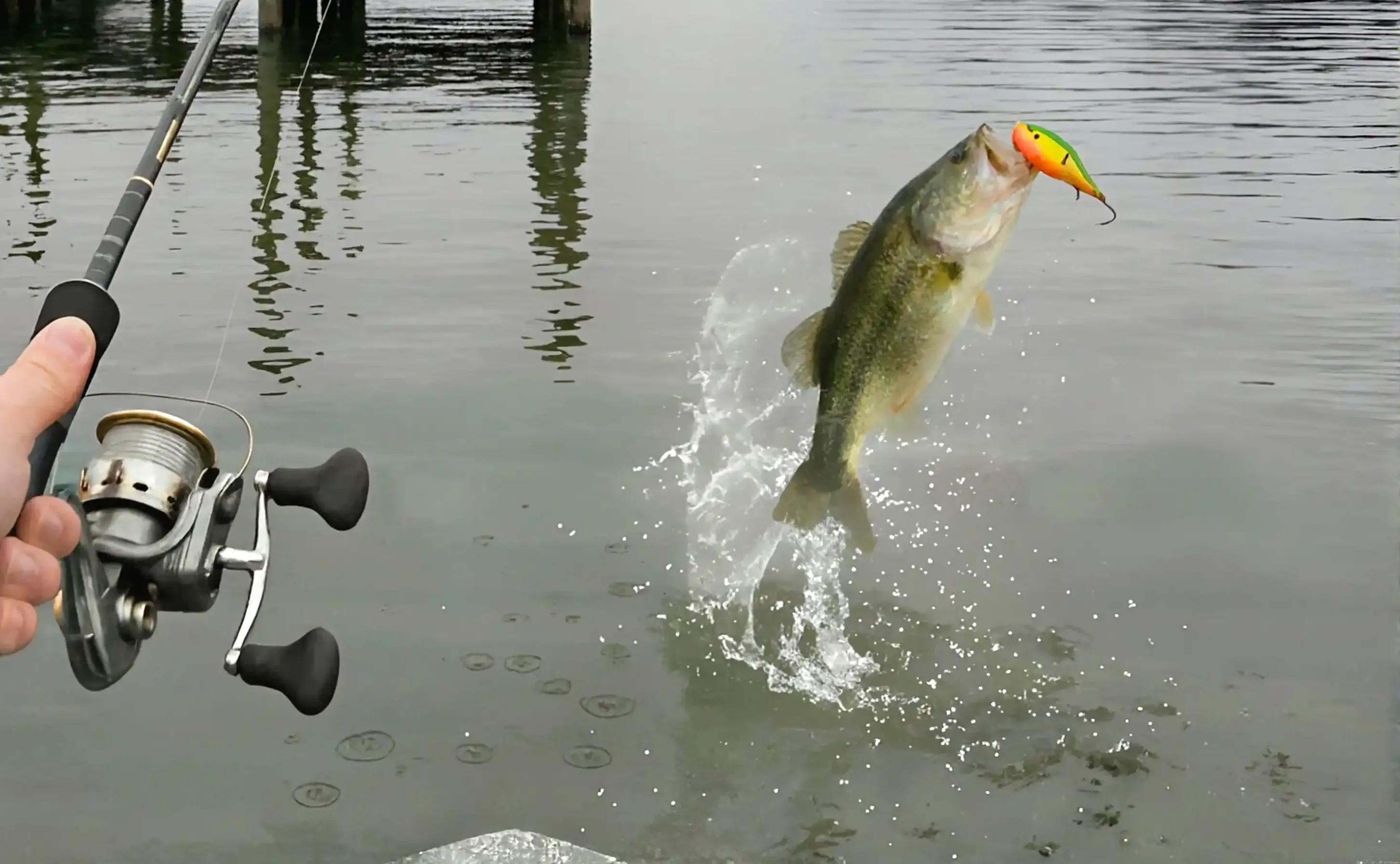 Bass fishing on Guntersville