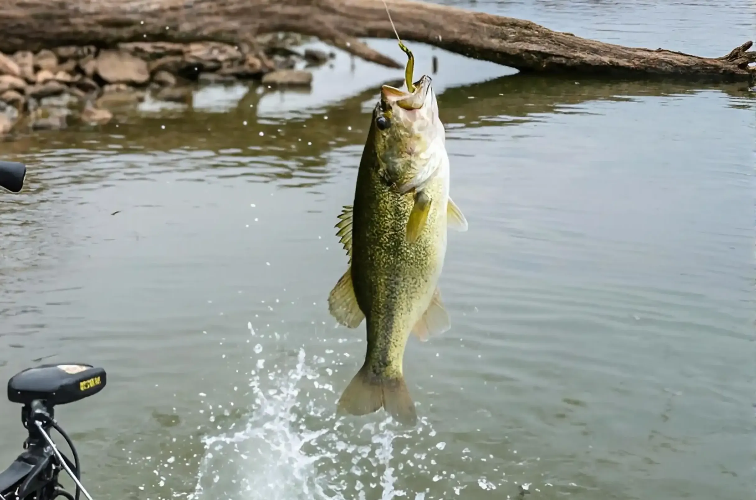 Catch and release