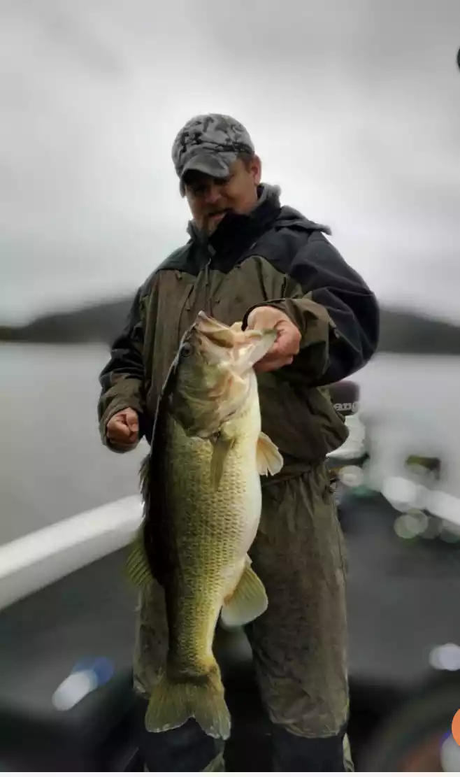 Trophy bass